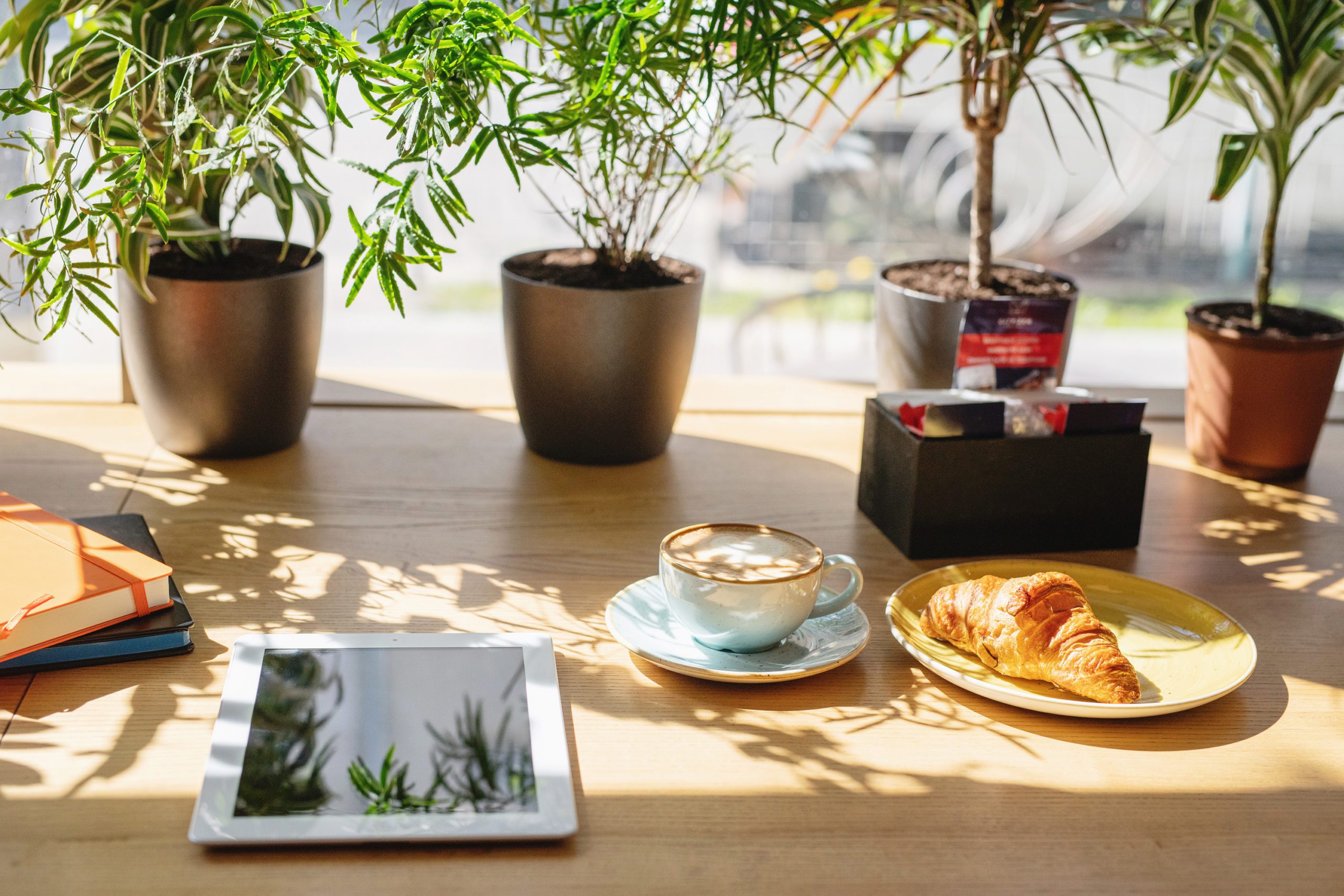 A sun soaked cafe with potted plants behind an ipad, coffee, pastry and more work supplies